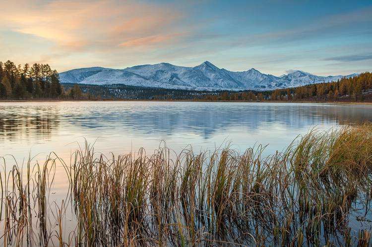 A trip to Altai: a unique fishing experience