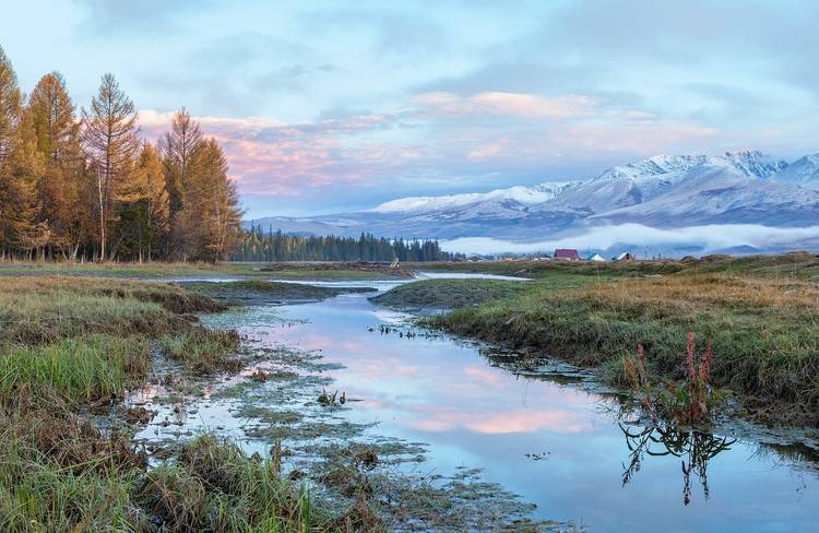 A trip to Altai: a unique fishing experience