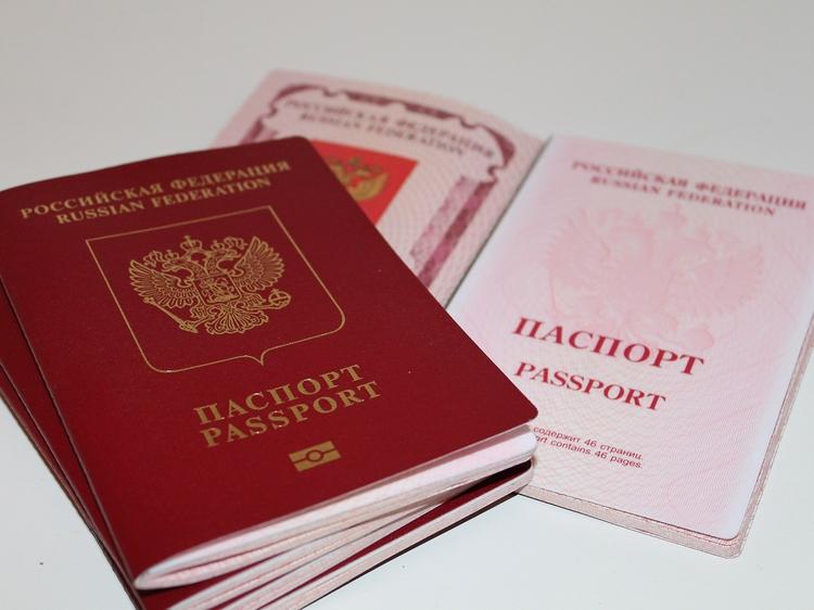 Biometric passport for 10 years: how to register in 2023?